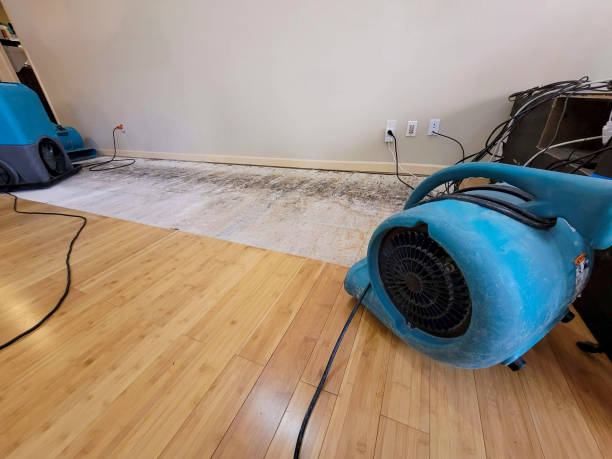 Professional Flood Damage Cleanup technician working in Stoddard, NH